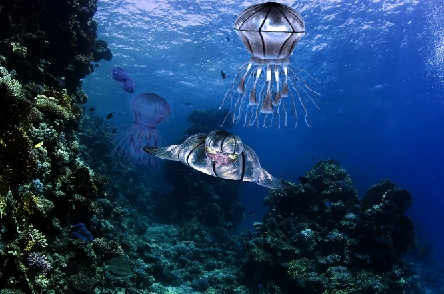 Creation of Underwater life: Step 10